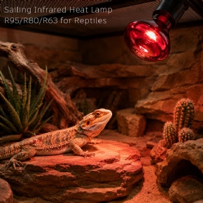 UV Germicidal Lamps & Electronic Ballasts