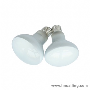 R25 Mini Reptiles Daylight Basking Heat Spot Lamps